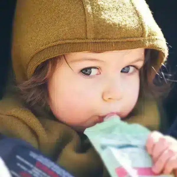 2025 Baby Food Pouch Guide