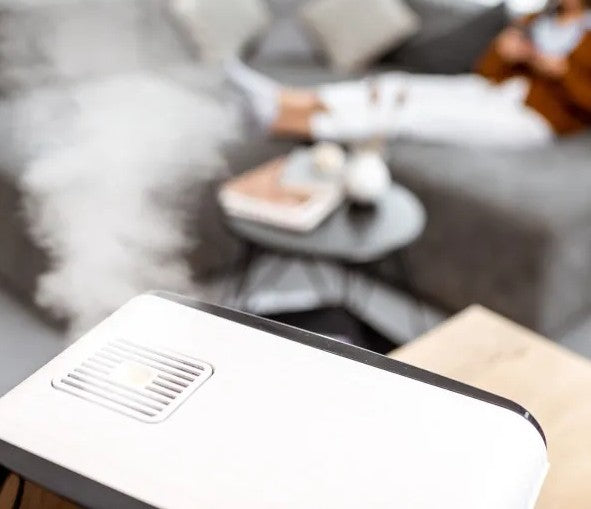 Choosing a Humidifier for Winter Survival