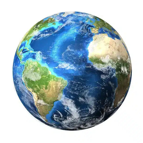Our Favorite Earth- and Budget-Friendly Products