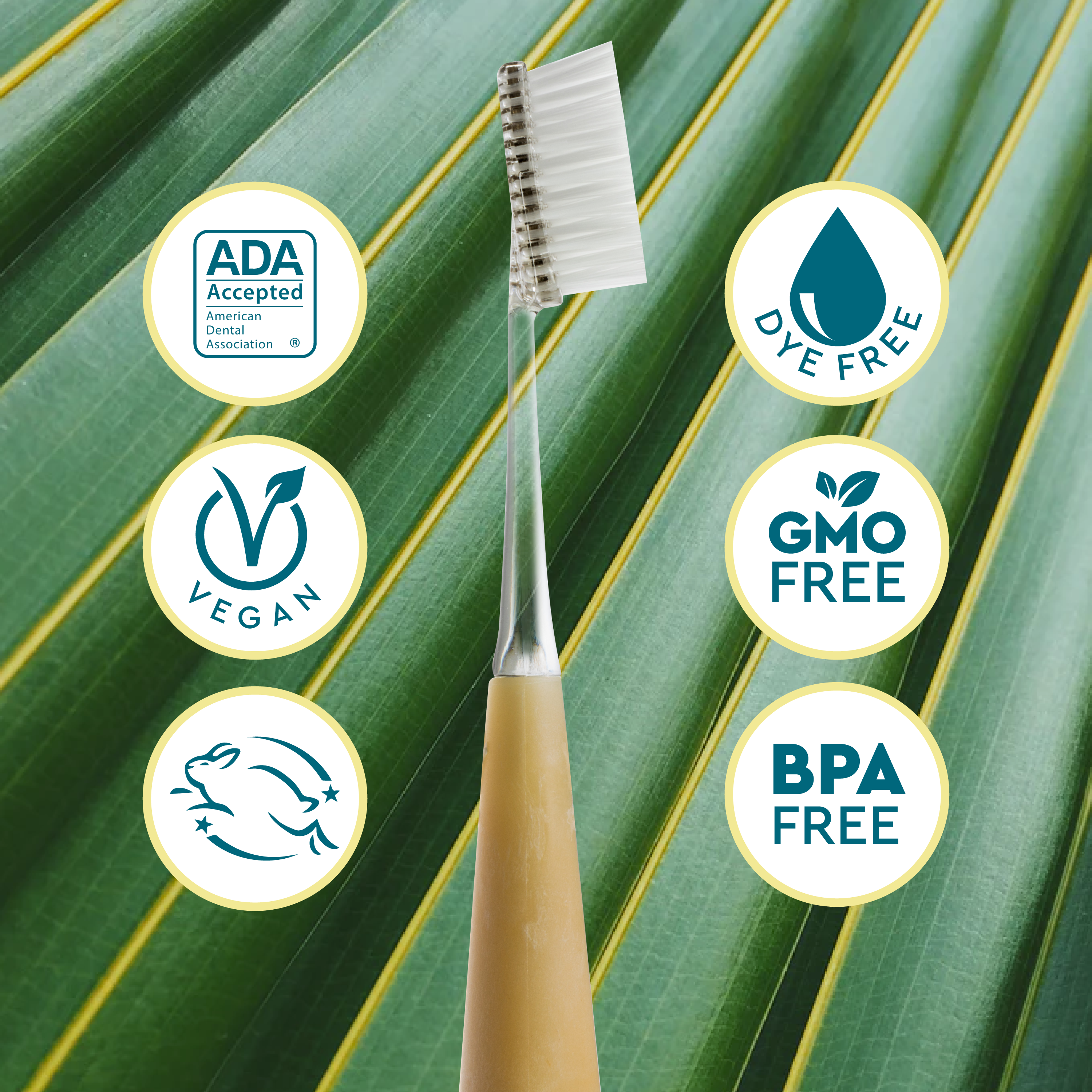 Radius Source™ Brush