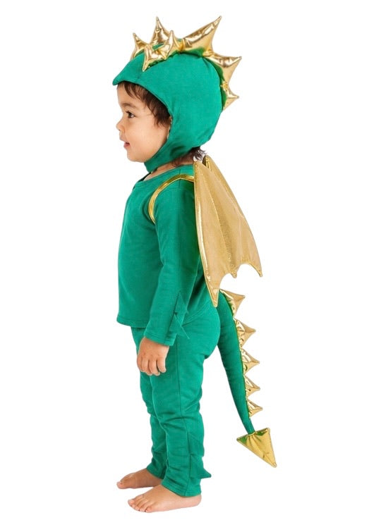Band of the Wild Baby Green Dragon Costume