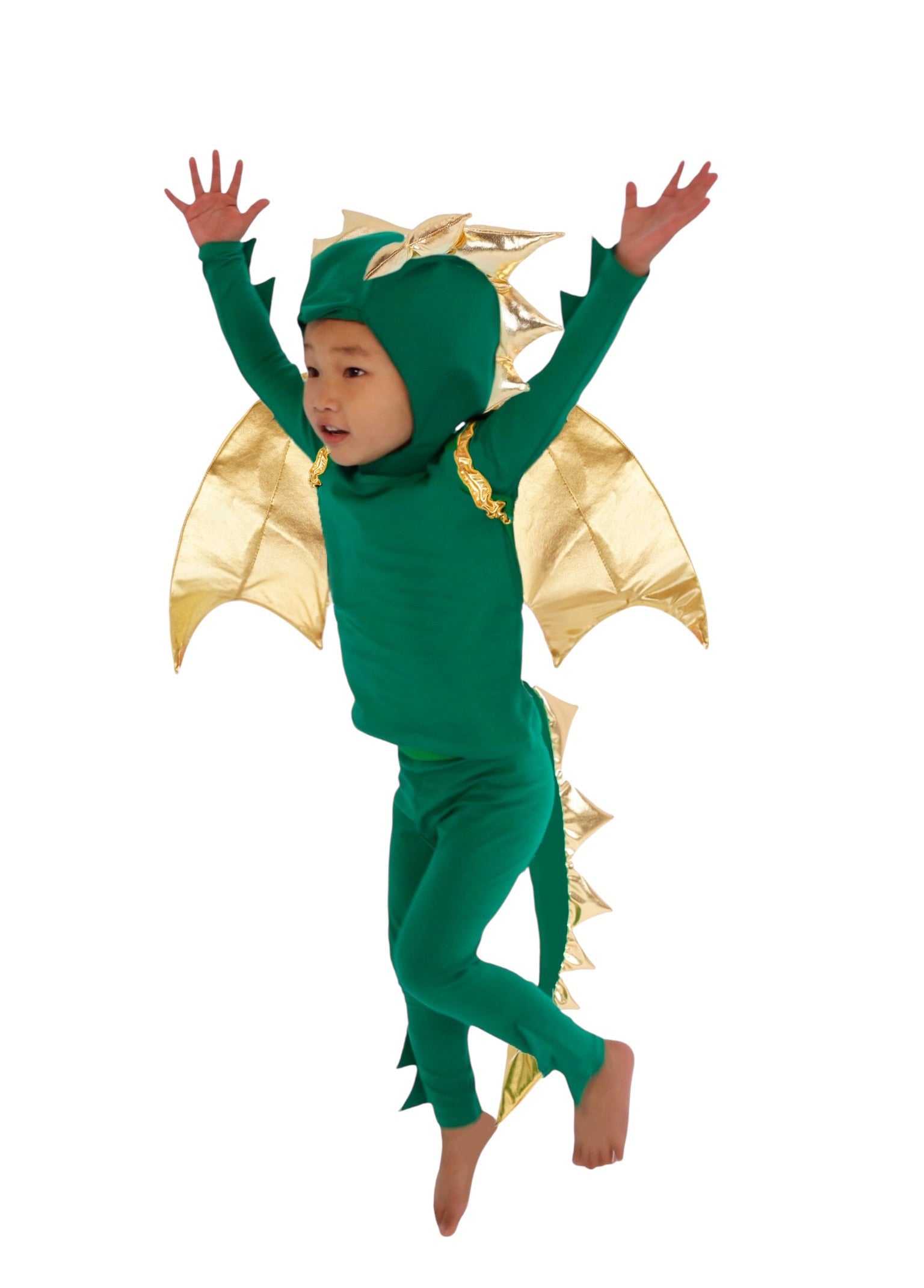 Band of the Wild Emerald Sky Dragon Pajama Costume