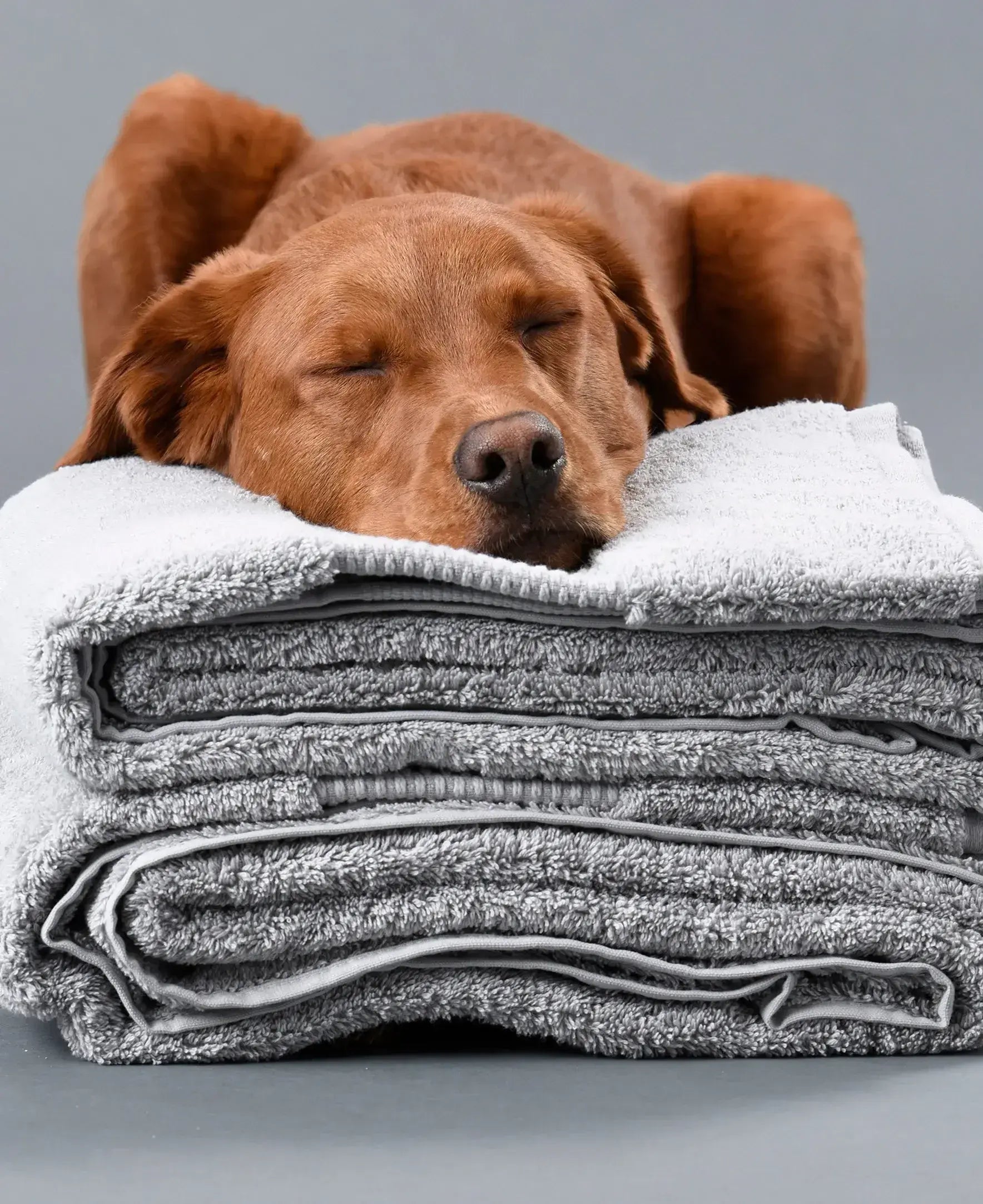 Delilah Home 100% Organic Cotton Bath Towels Collection