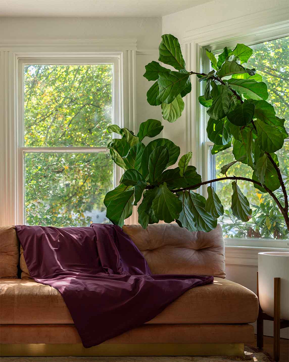 Cotton Duvet Cover