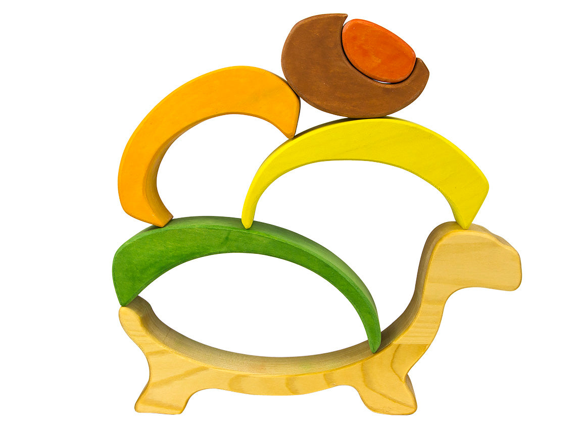 Colorful wooden toy turtle on a white background
