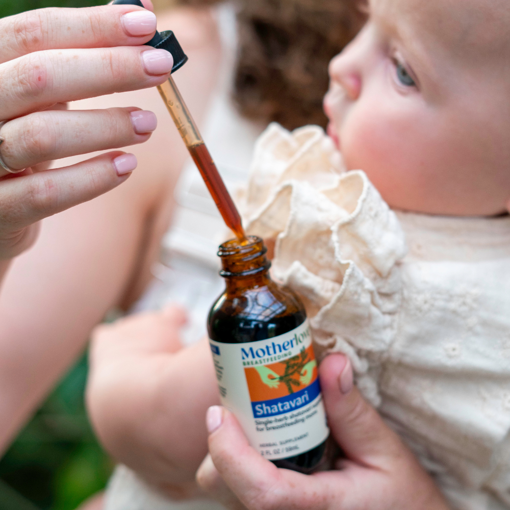 Motherlove Herbal Company Shatavari - Tincture