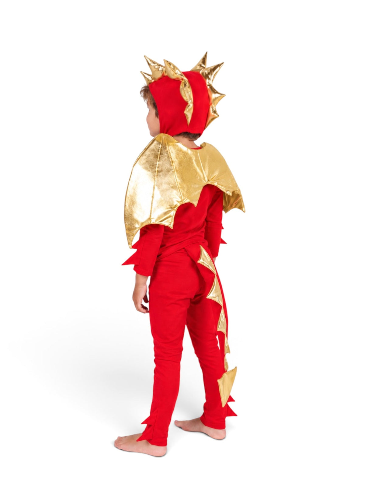 Band of the Wild Sunfire Red Dragon with Gold Wings
