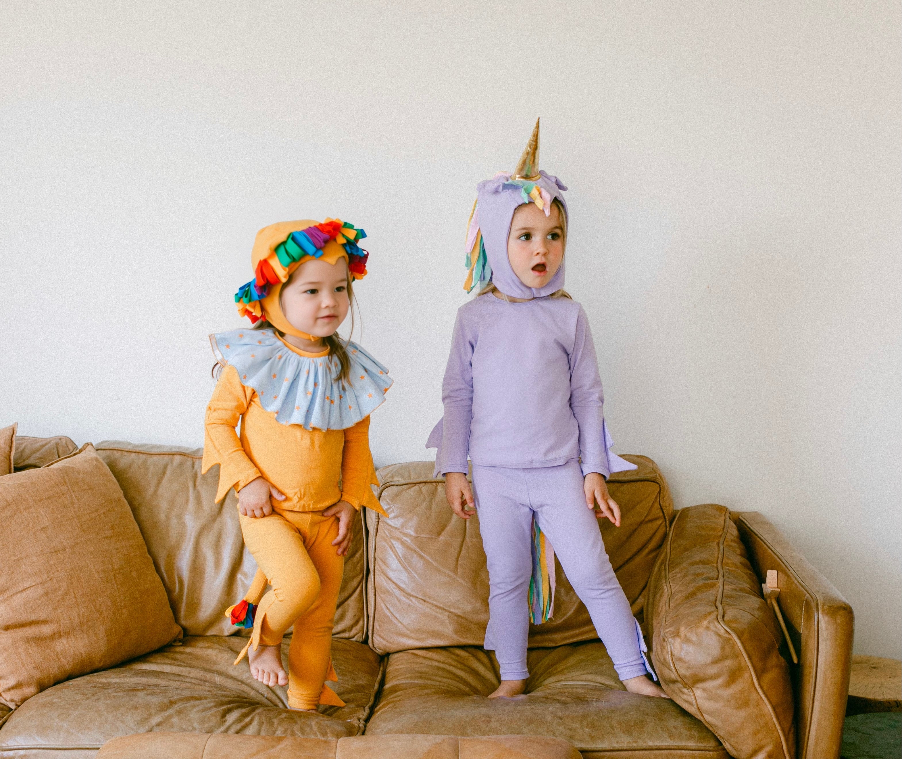 Band of the Wild Rainbow Circus Lion Pajama Costume