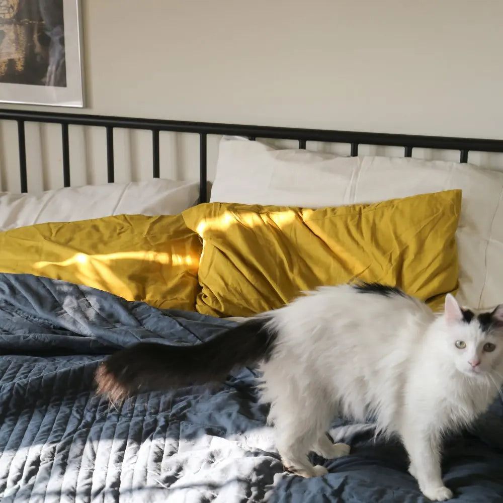 Ettitude Linen+ Bamboo Quilted Coverlet