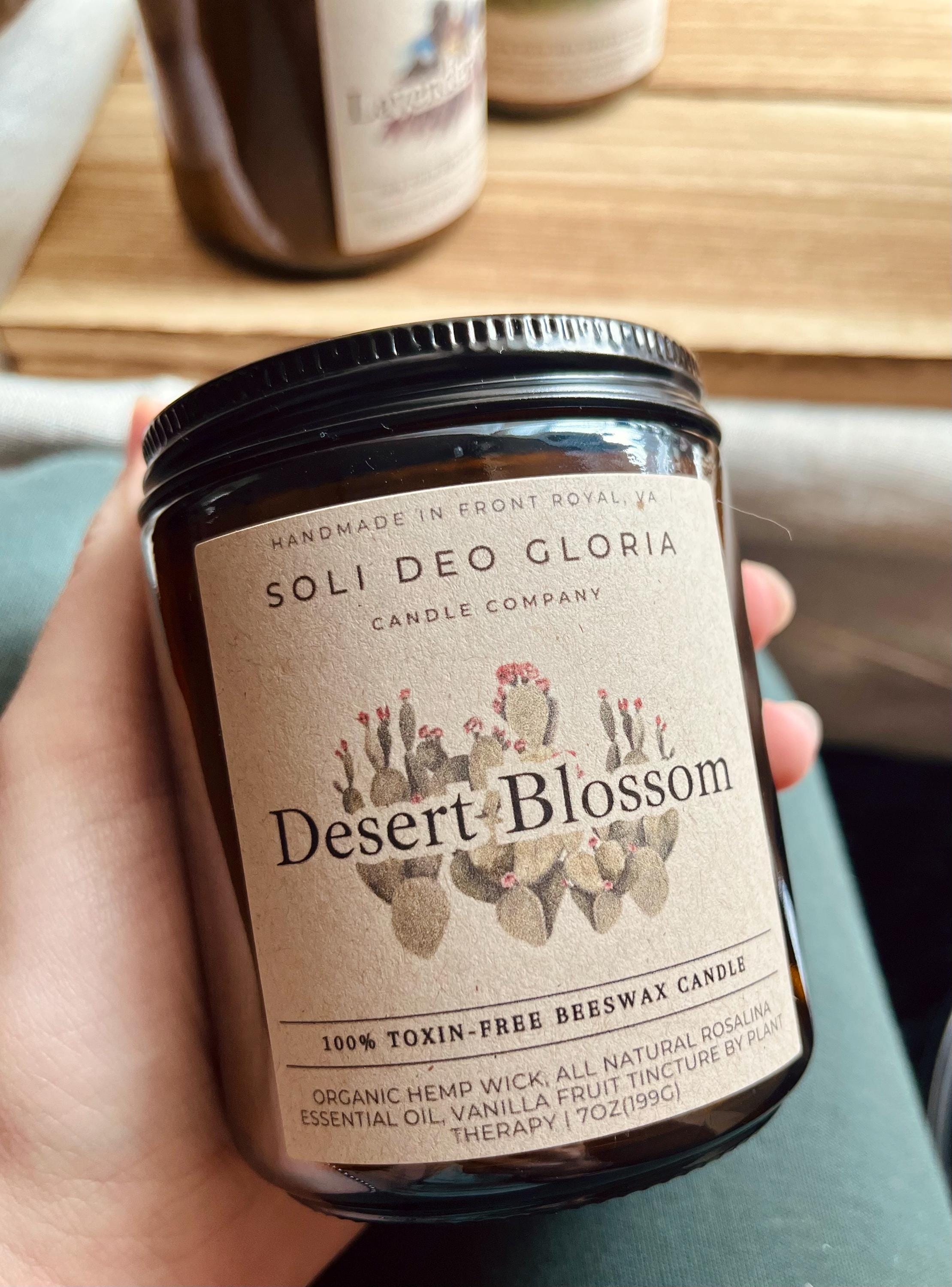 Soli Deo Gloria Candle Company Veritas & Vitalis Spring Collection | Hand-Poured 100% Beeswax Candle Gift Set