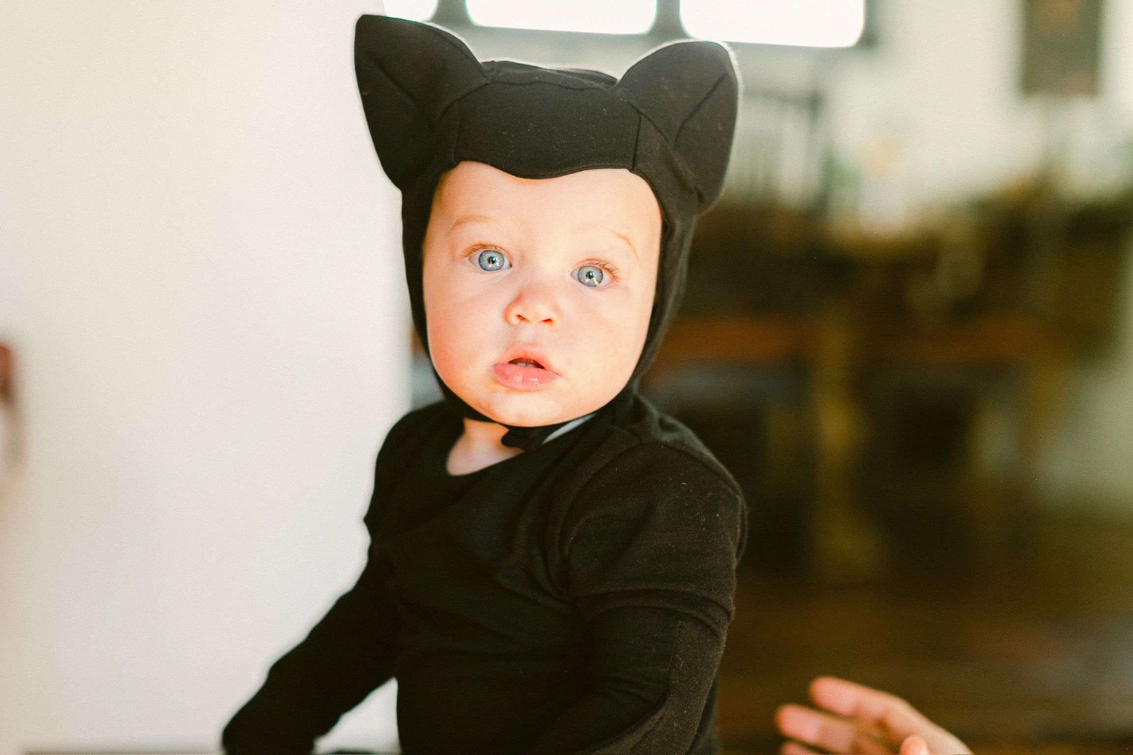 Band of the Wild Black Cat Hat