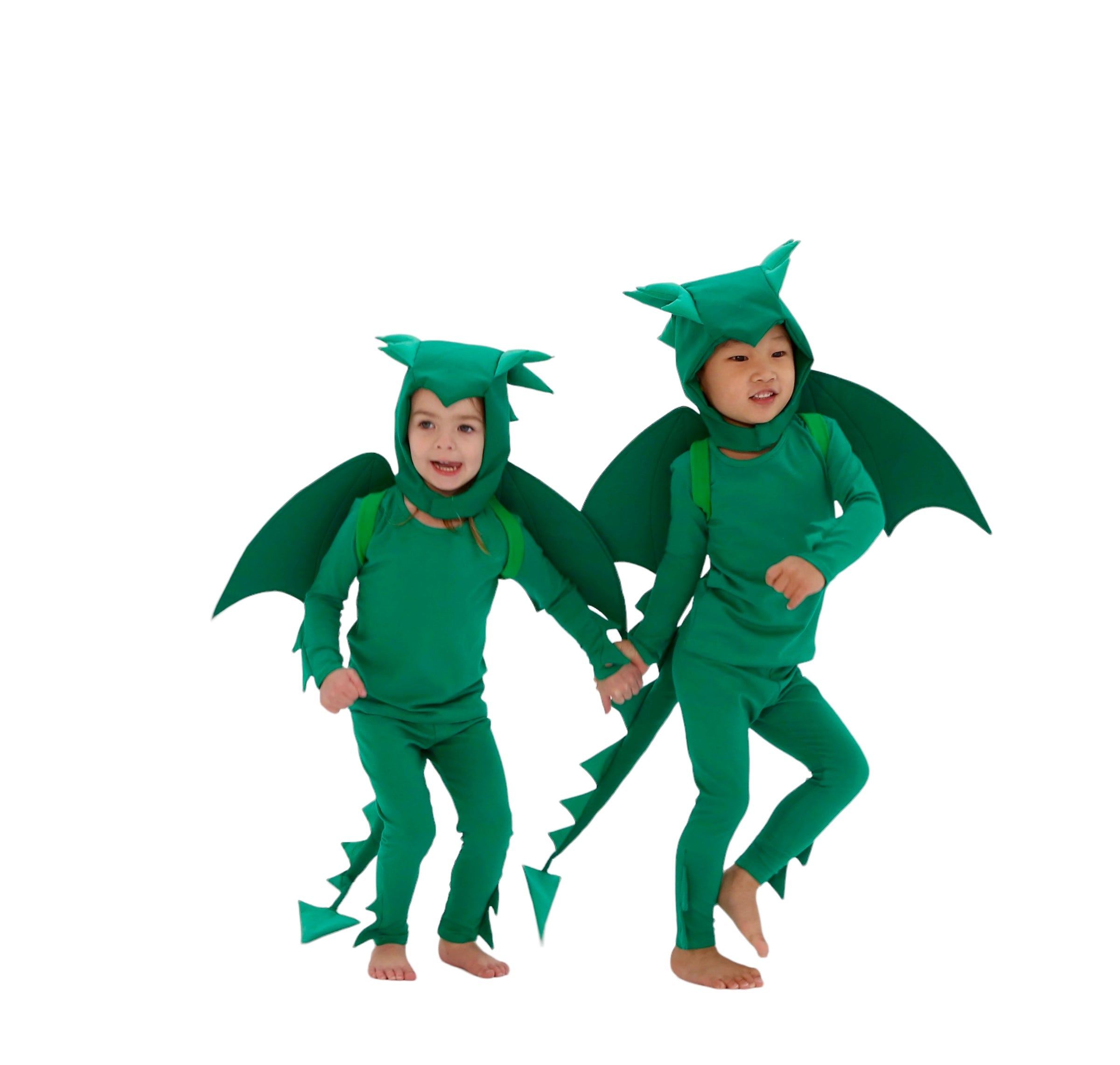 Band of the Wild Green Dragon Costume