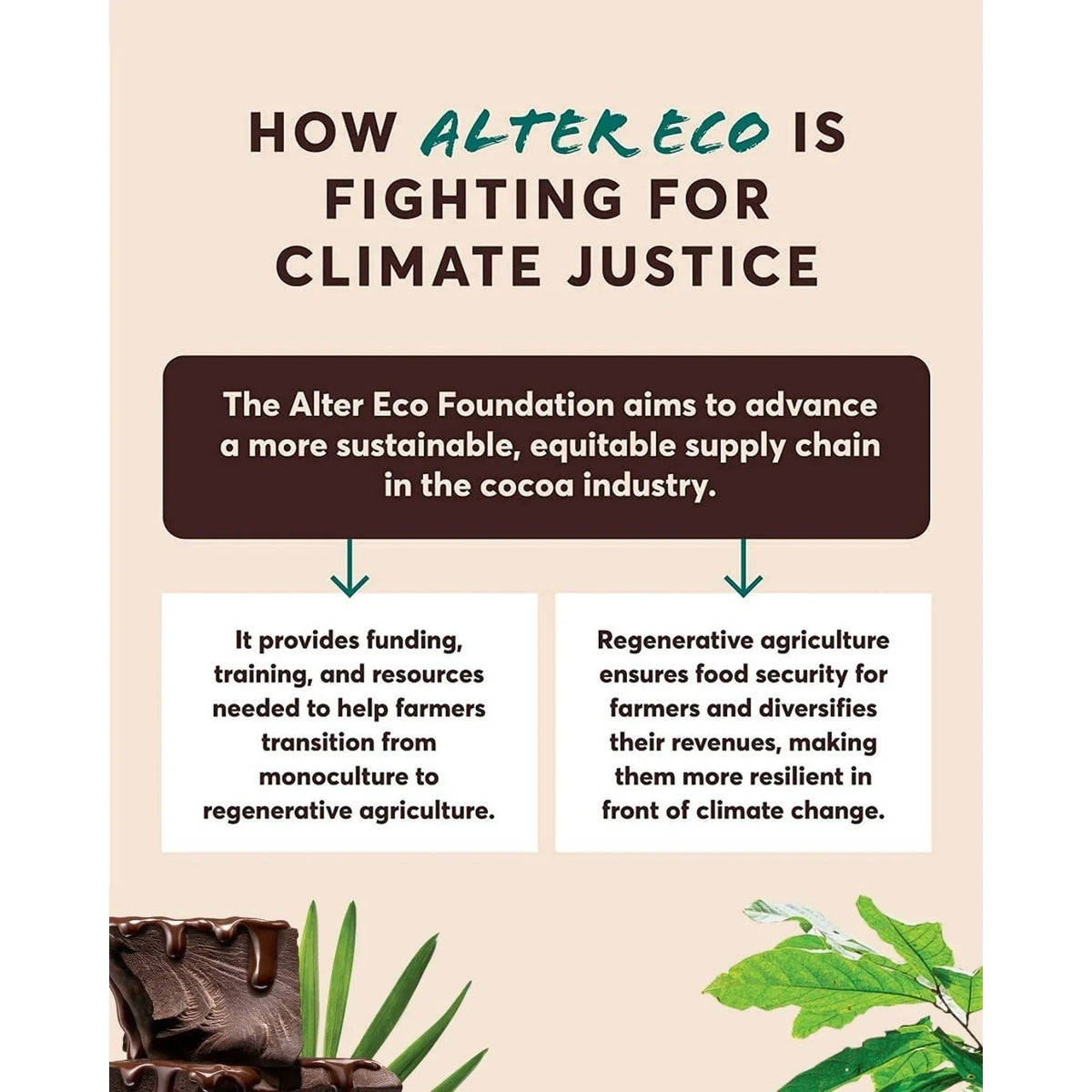 Alter Eco Organic Blackout 100% Dark Chocolate – Fair Trade Swiss Cacao, Pack of 12-2.65 Oz