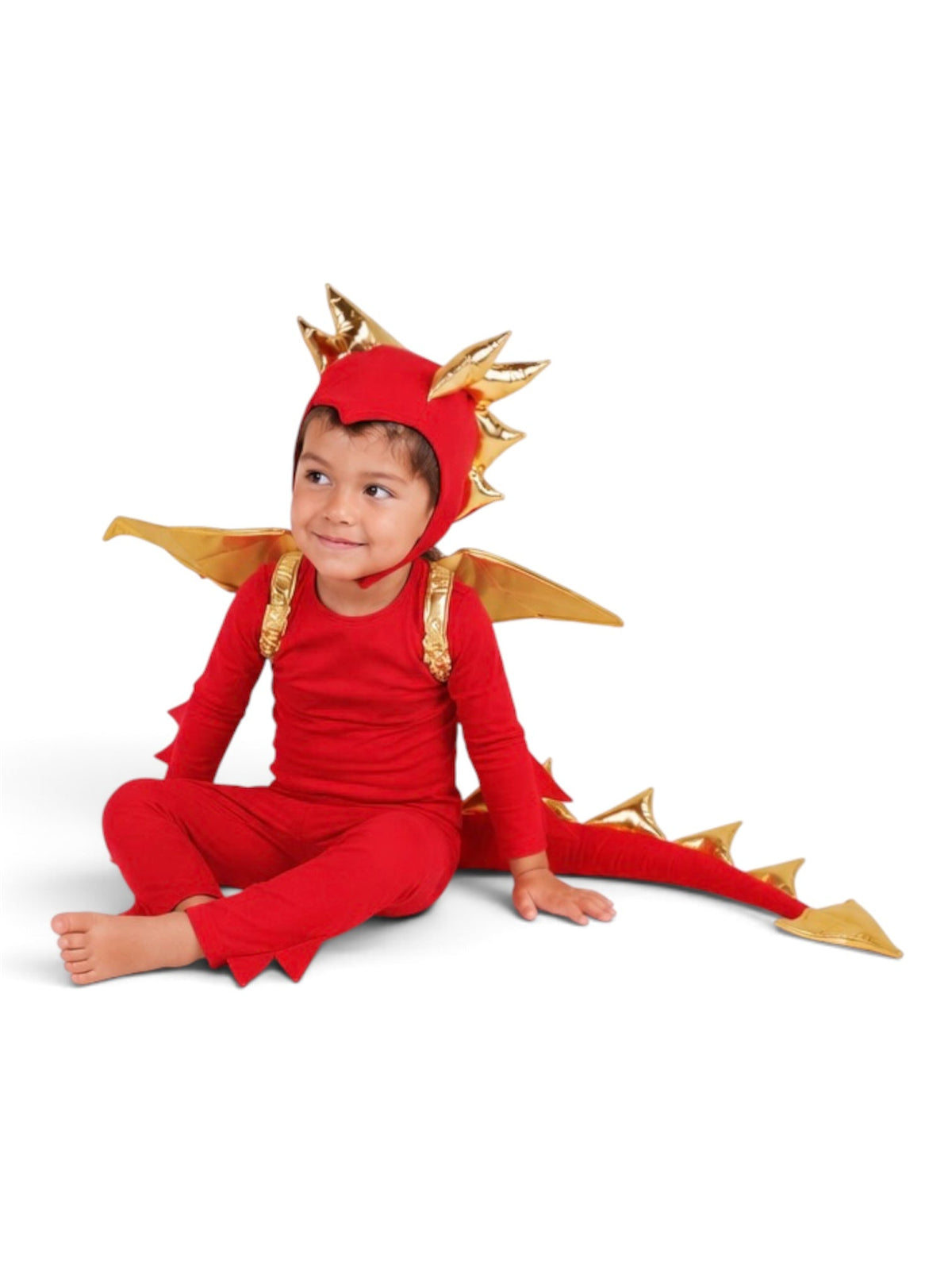 Band of the Wild Sunfire Red Dragon with Gold Wings