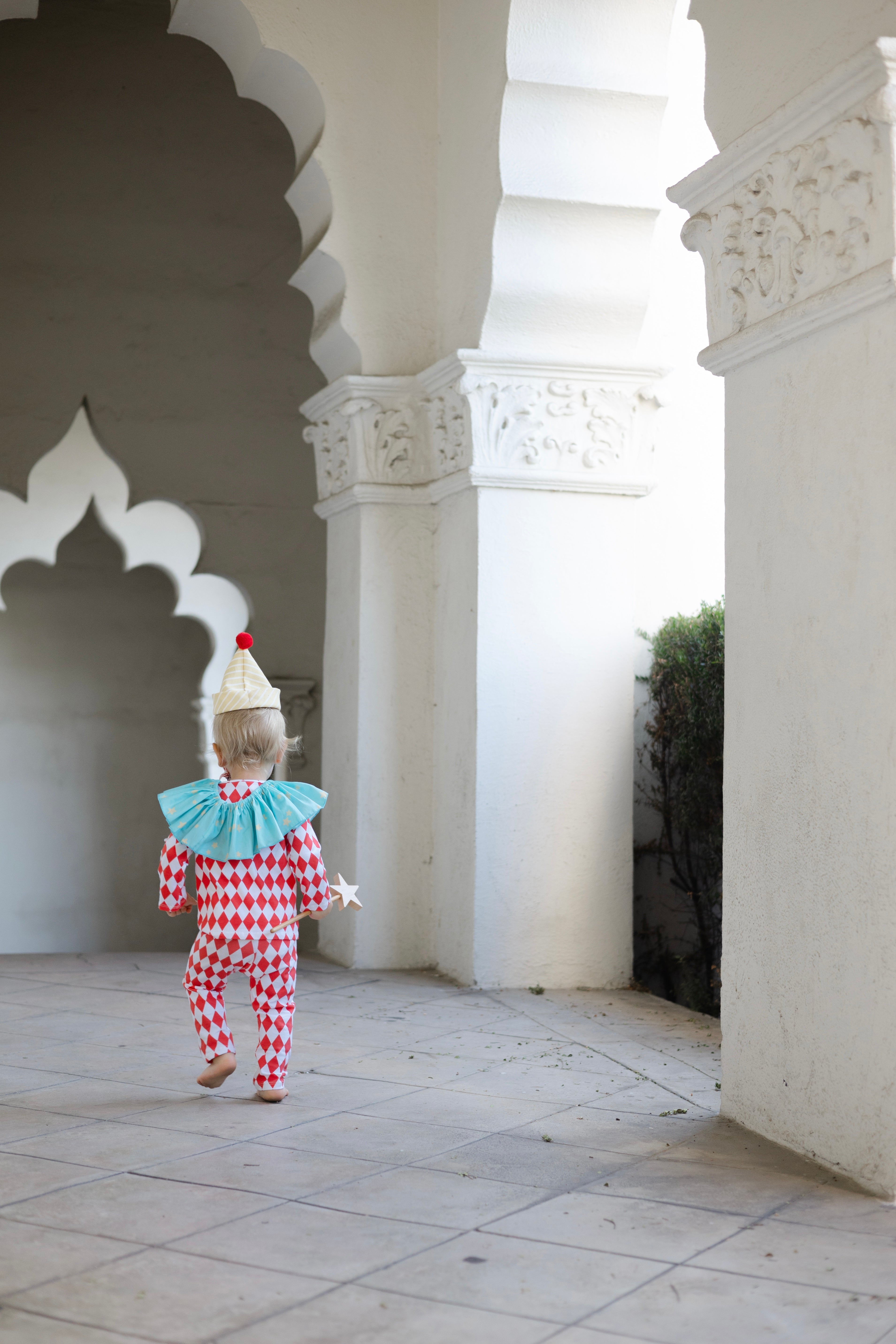 Band of the Wild Harlequin Clown Costume