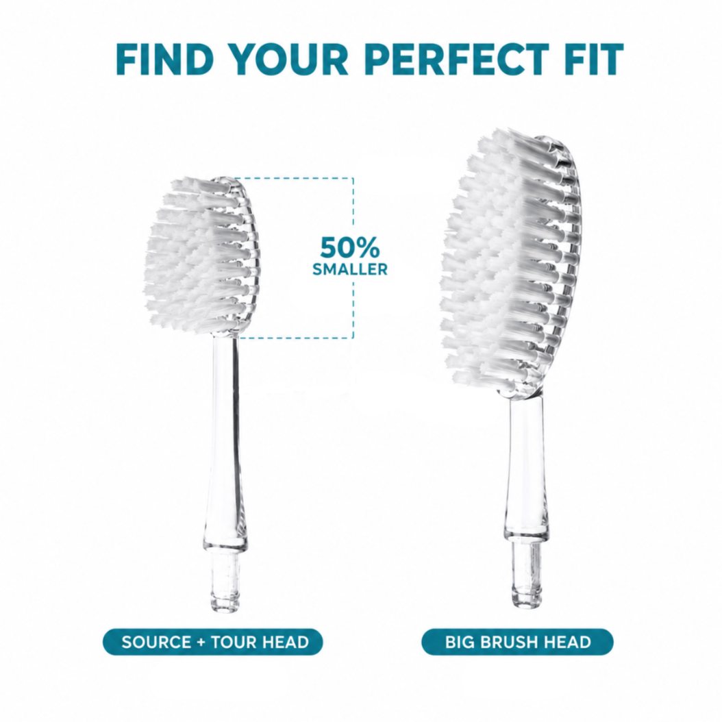 Radius Brush Replacement Heads (2 Pack - Source & TOUR)