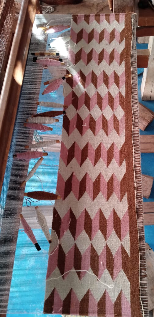 Archive New York Teo Rug in Umber/Pink