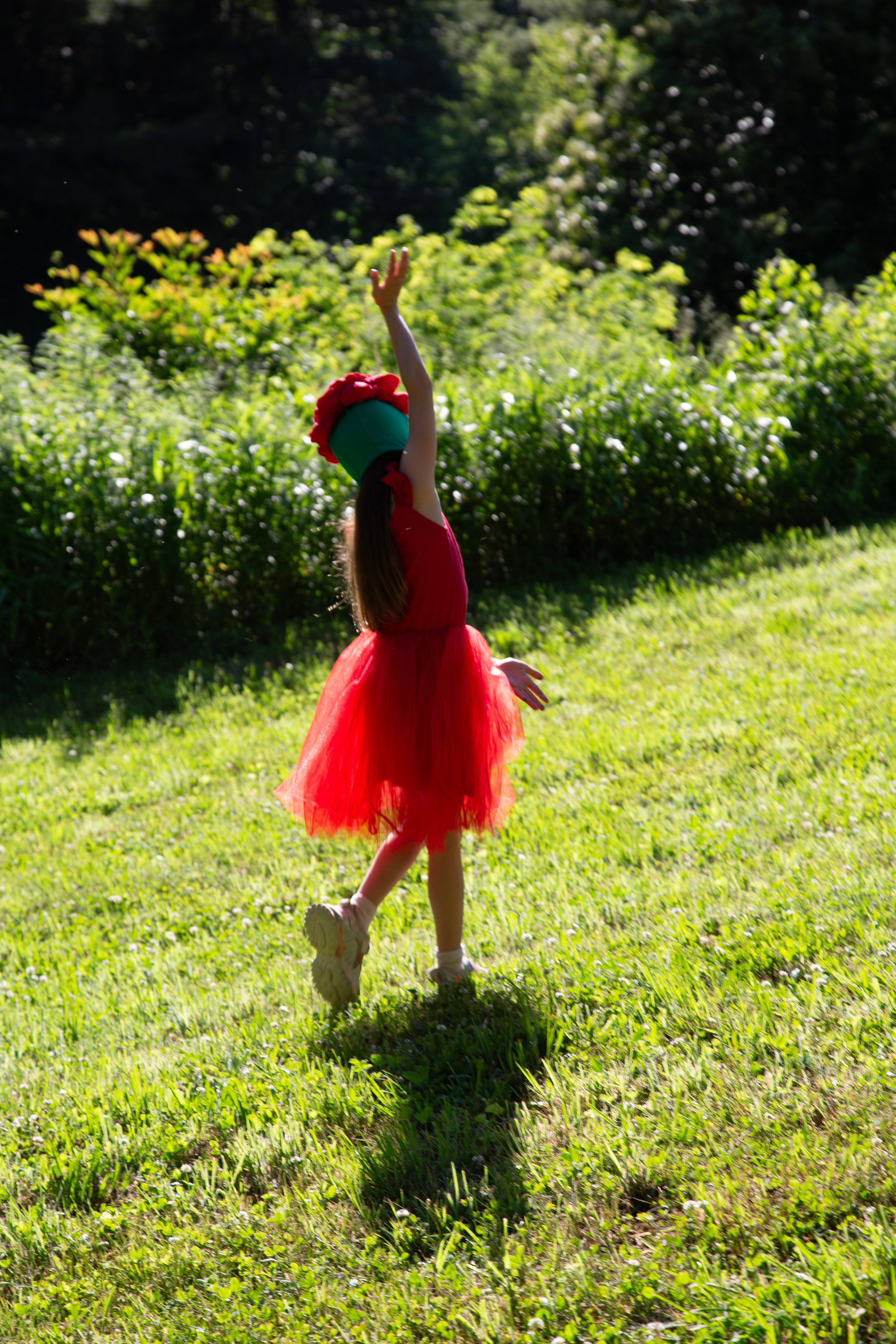 green and red tutu dress Amazon.com: Tutu Dreams Summer Hawaiian Red Green Tutu Dress for Girls 1-12Y with Tropical Fern Leaf Headband Luau Outfits Birthday Party Gifts : Clothing, Shoes & Jewelry