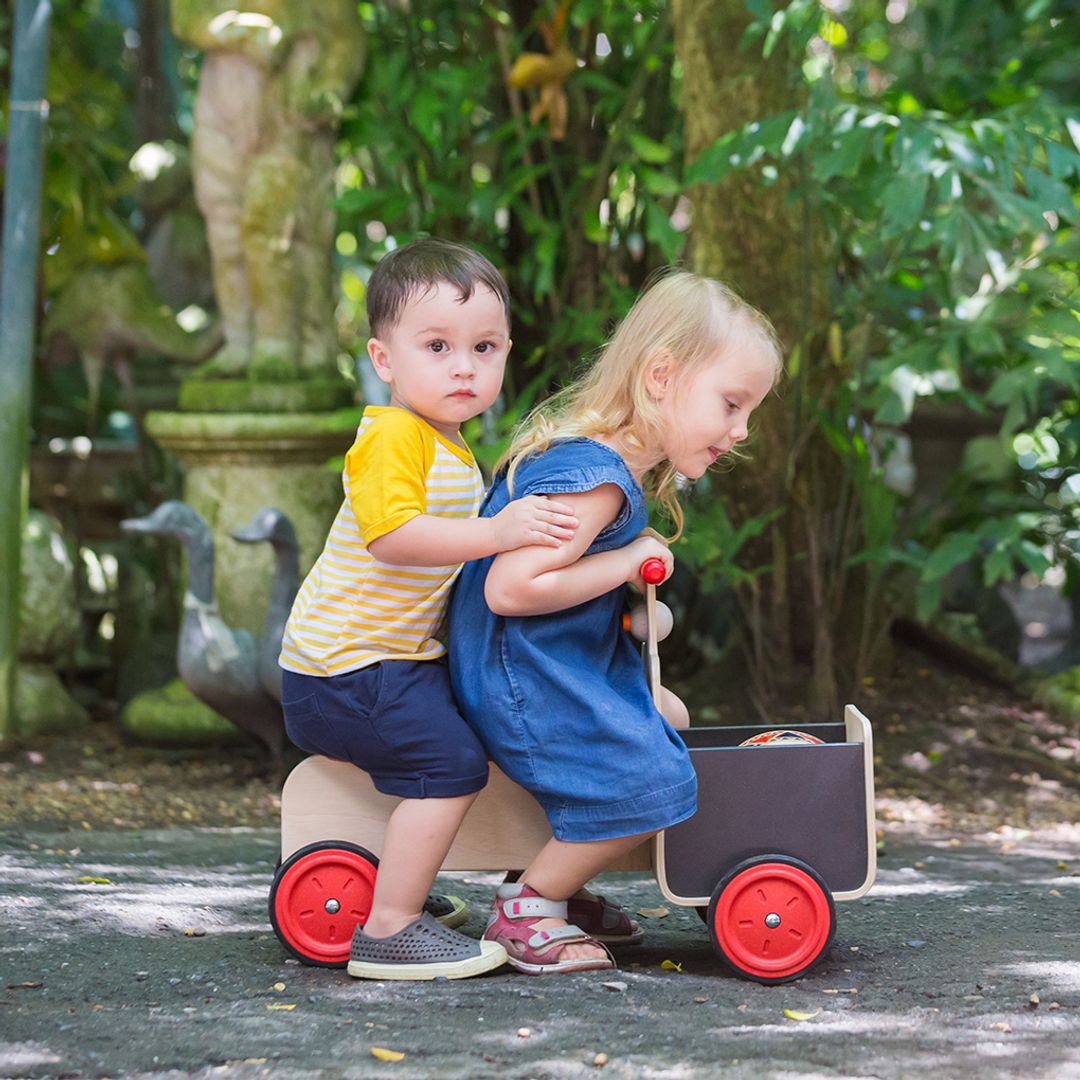 PlanToys Delivery Bike