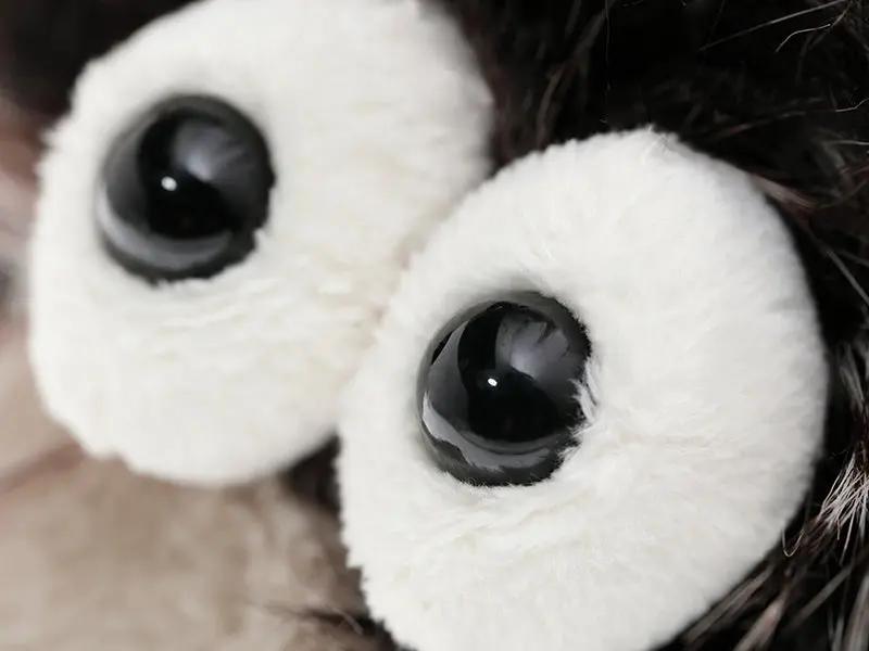 Sigikid Duchess of Hampershire