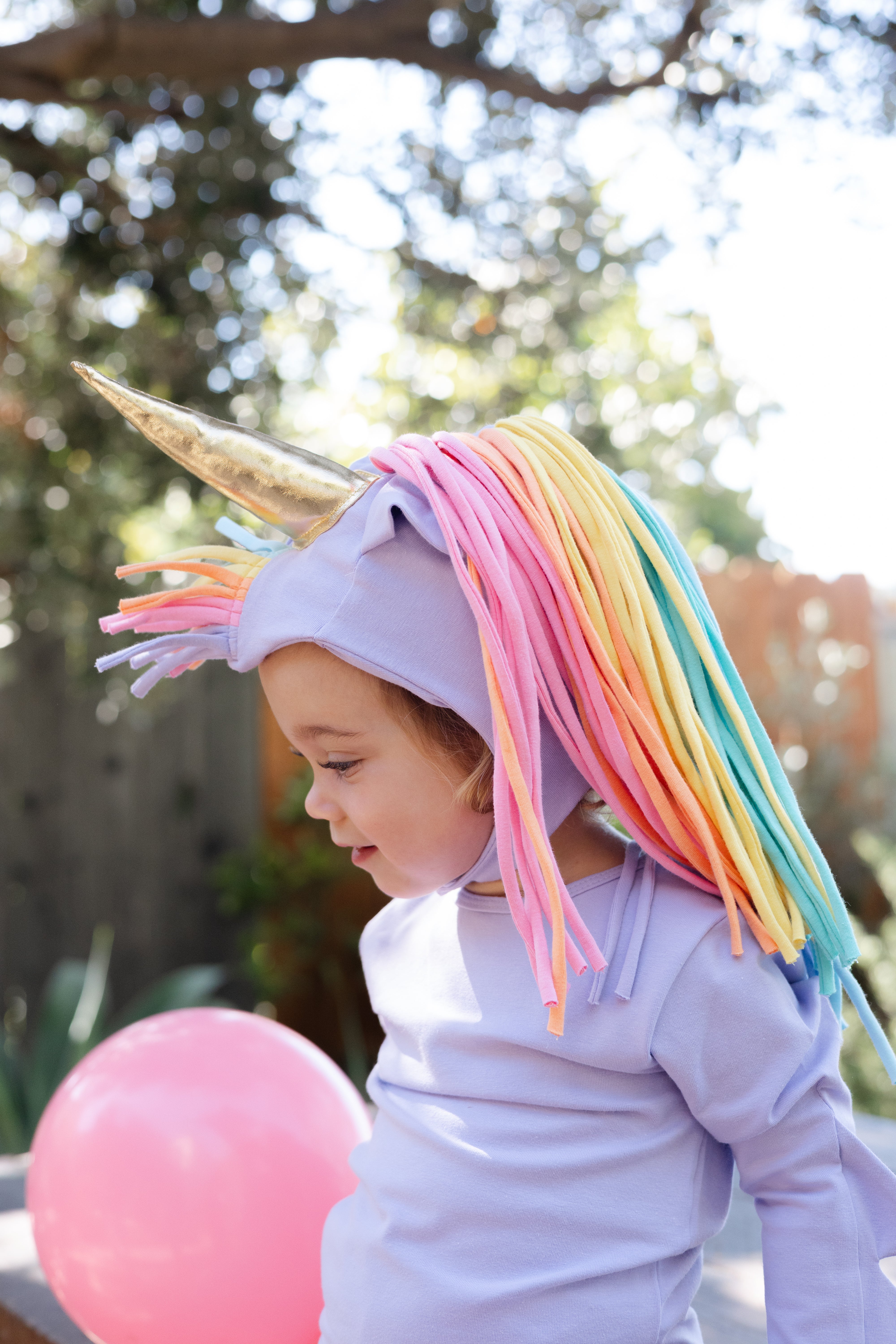 Band of the Wild Lavender Sky Unicorn