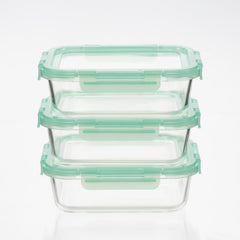 7. Glass Containers with Silicone Lids