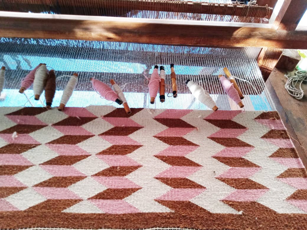 Archive New York Teo Rug in Umber/Pink