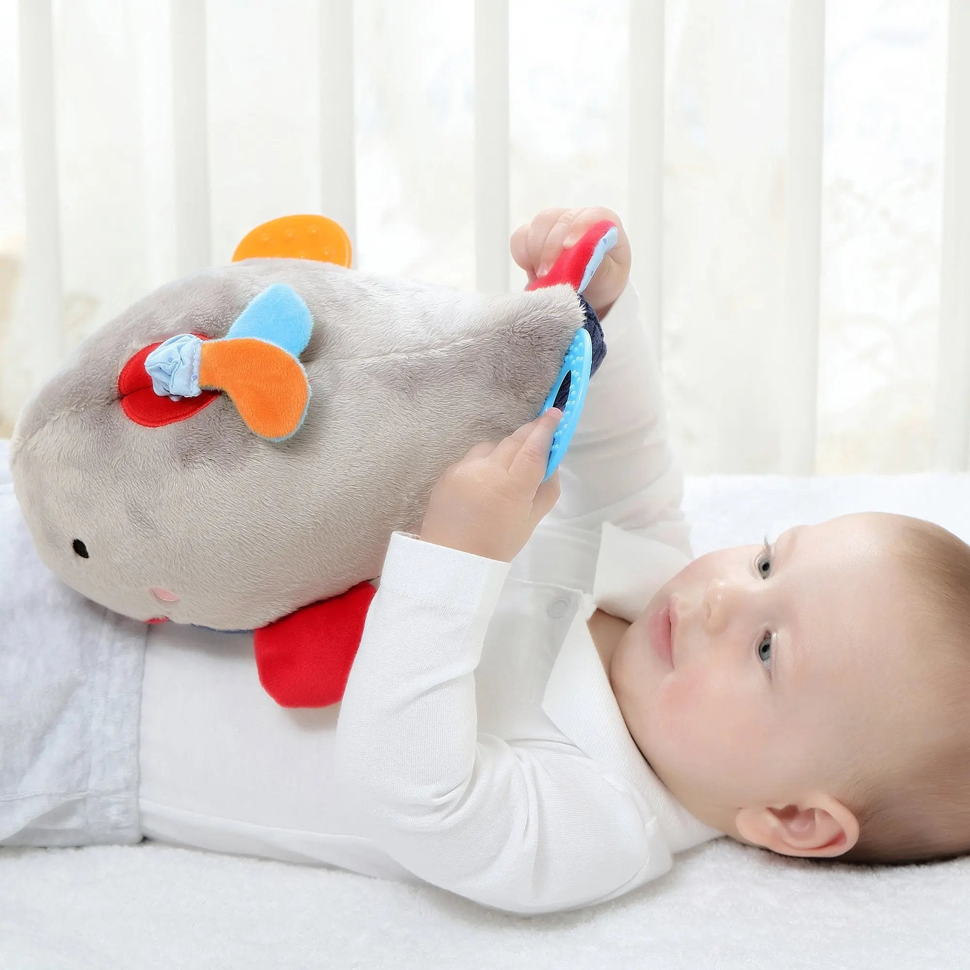 Sigikid Activity Whale