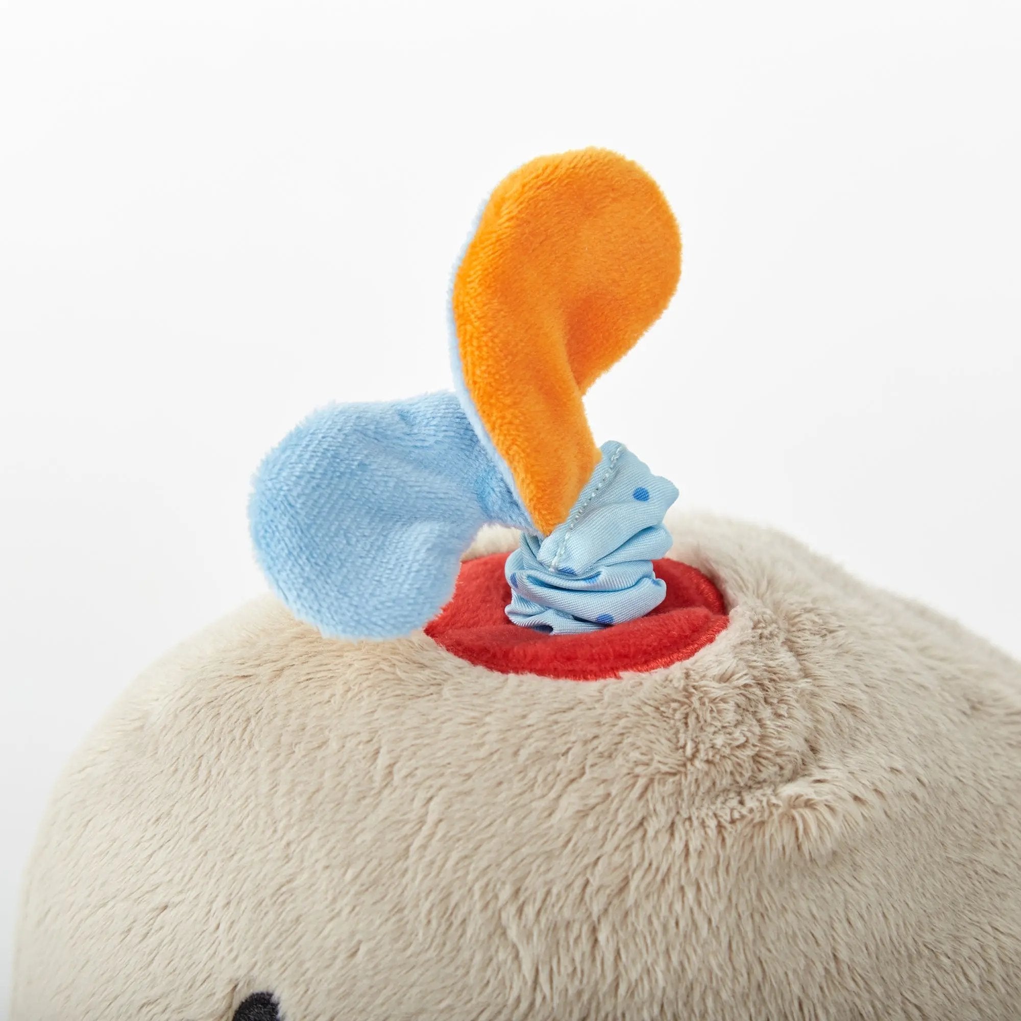 Sigikid Activity Whale