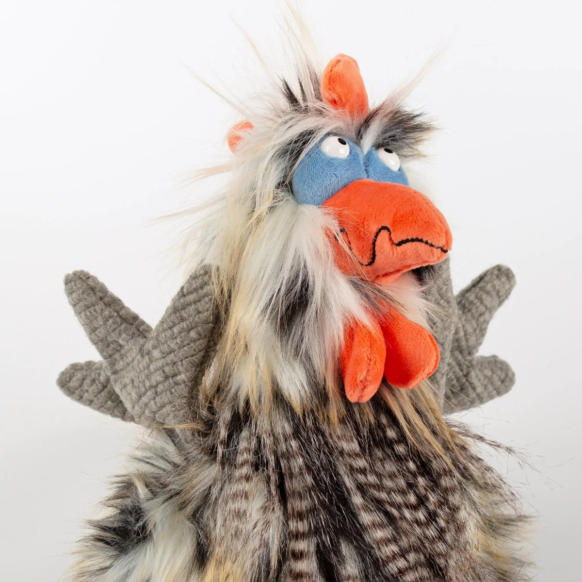Sigikid Tour De Poule