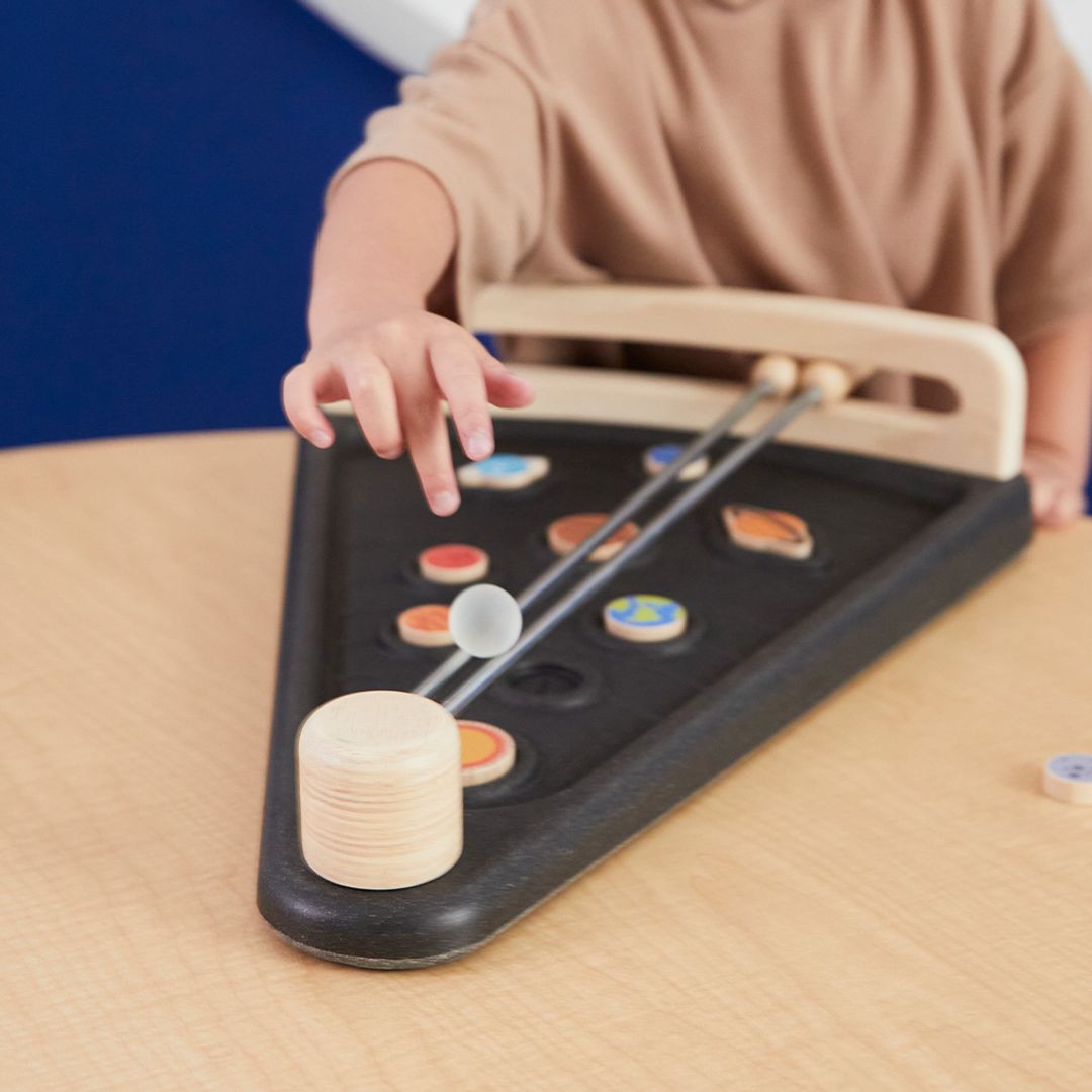 PlanToys Land The Planet