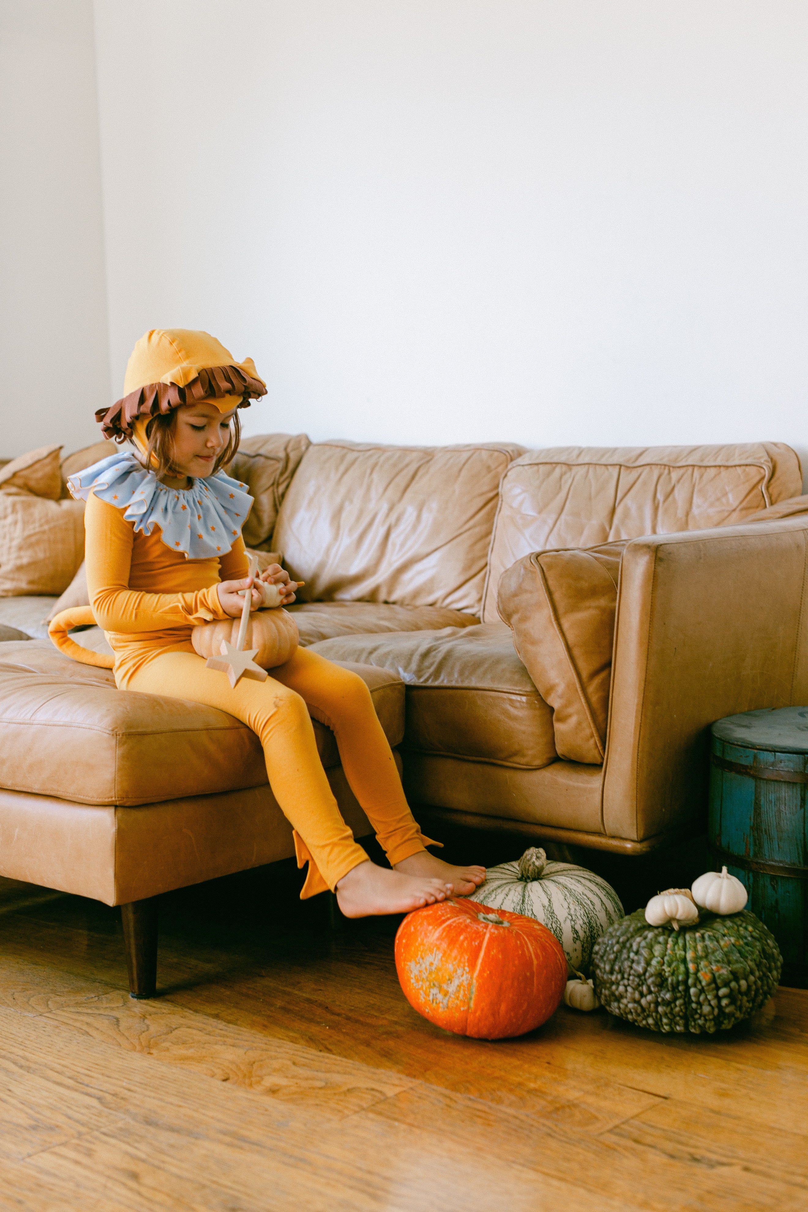 Band of the Wild Circus Lion Pajama Costume