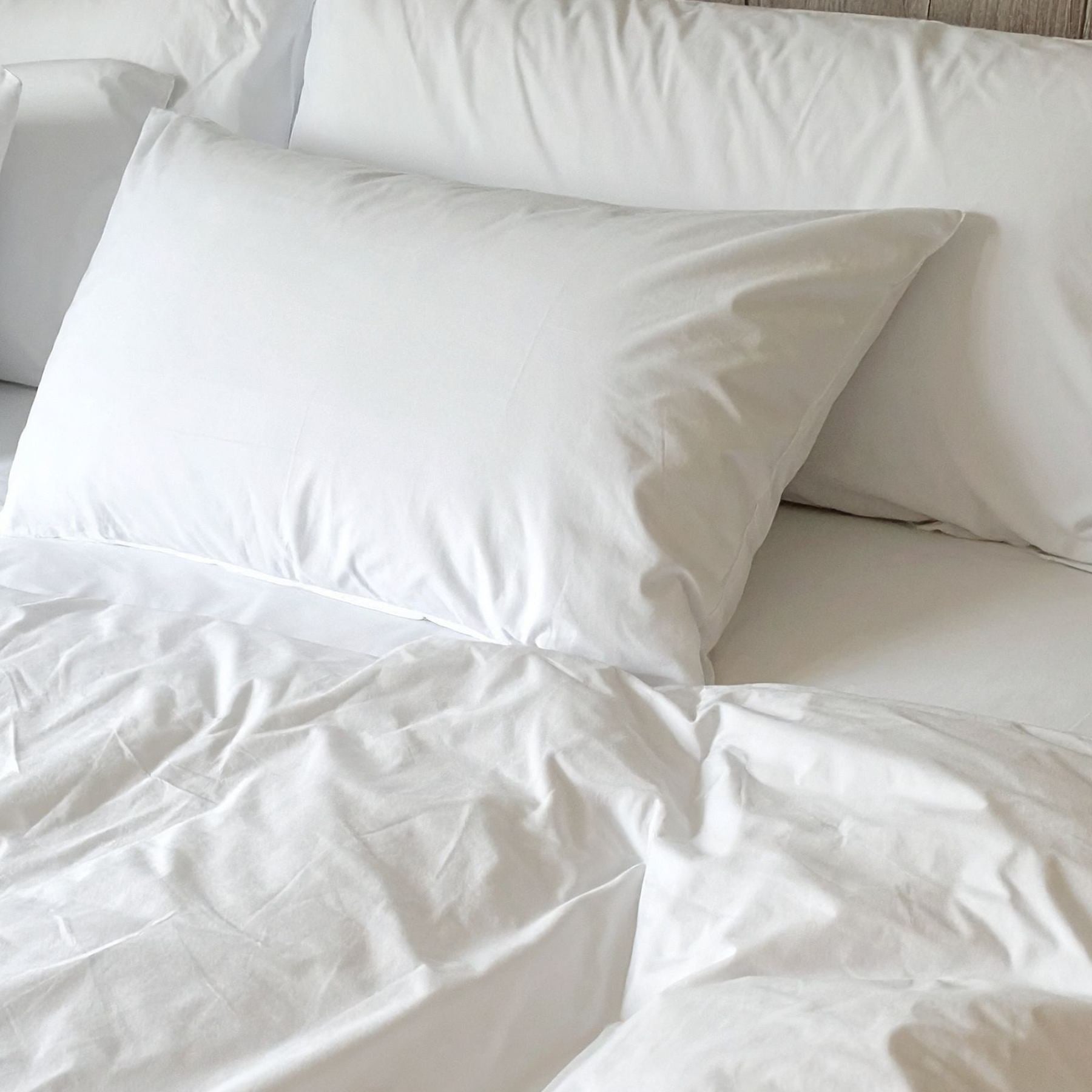 Clean Sleep by Lujo Home – 330TC Premium White Goose Down Pillow with 700 Fill Power