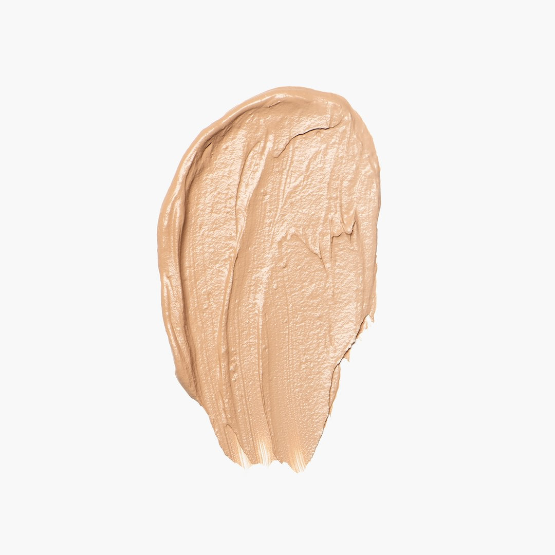 Axiology Fungdation - Reishi Mushroom Foundation