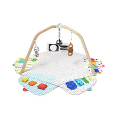 Activity Gym and Play Mat