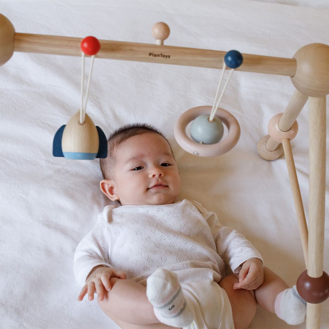 PlanToys Play Gym - Orchard