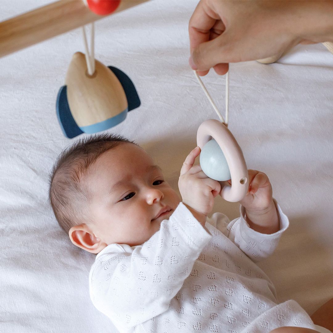 PlanToys Play Gym - Orchard