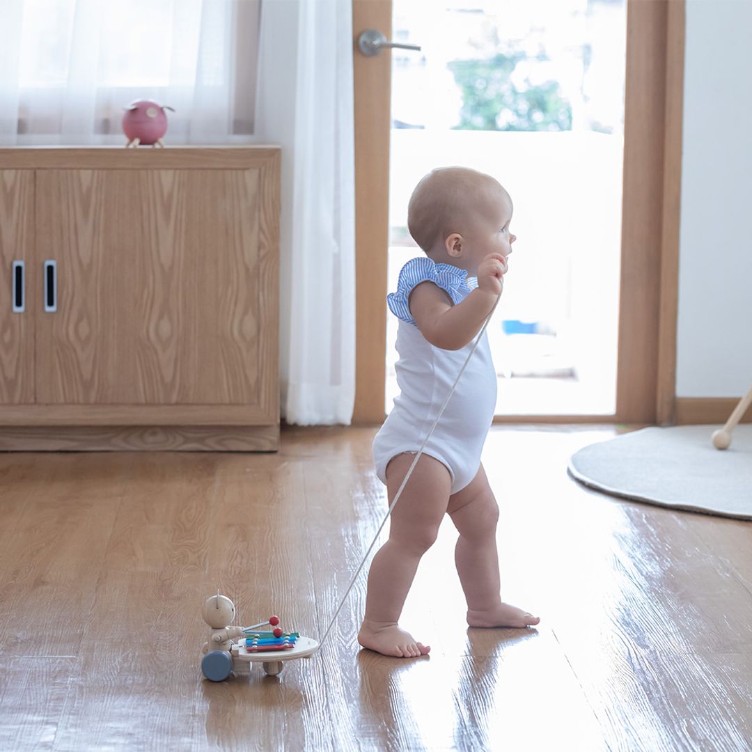 PlanToys Pull Along Musical Bear