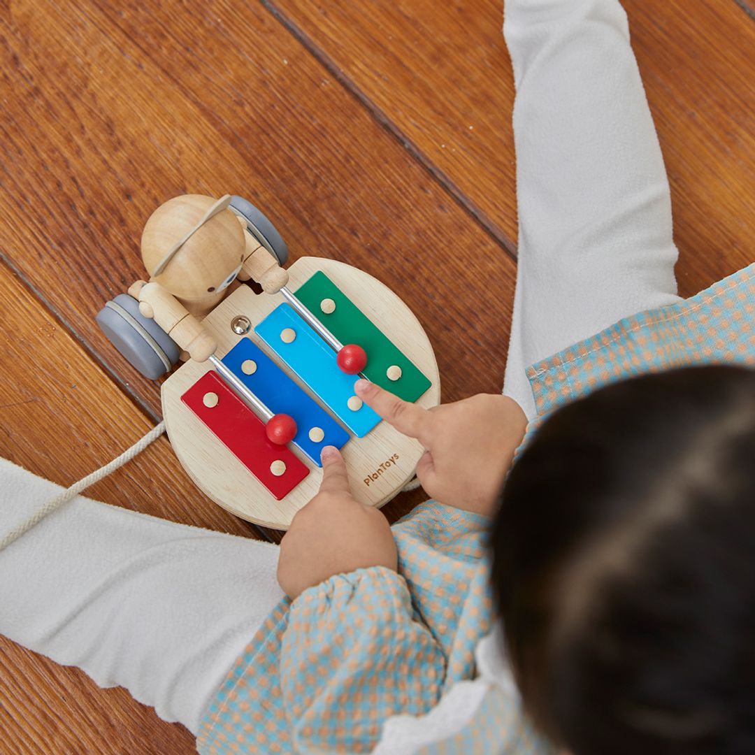 PlanToys Pull Along Musical Bear