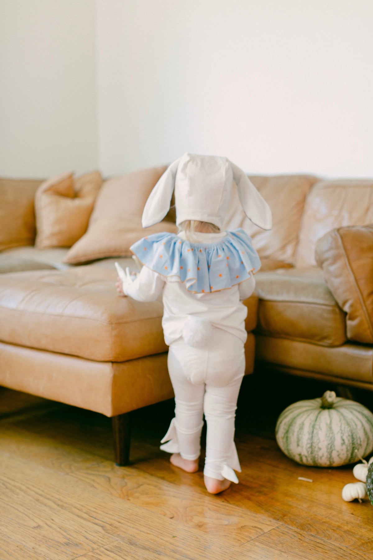 Band of the Wild Circus Bunny Pajama Costume