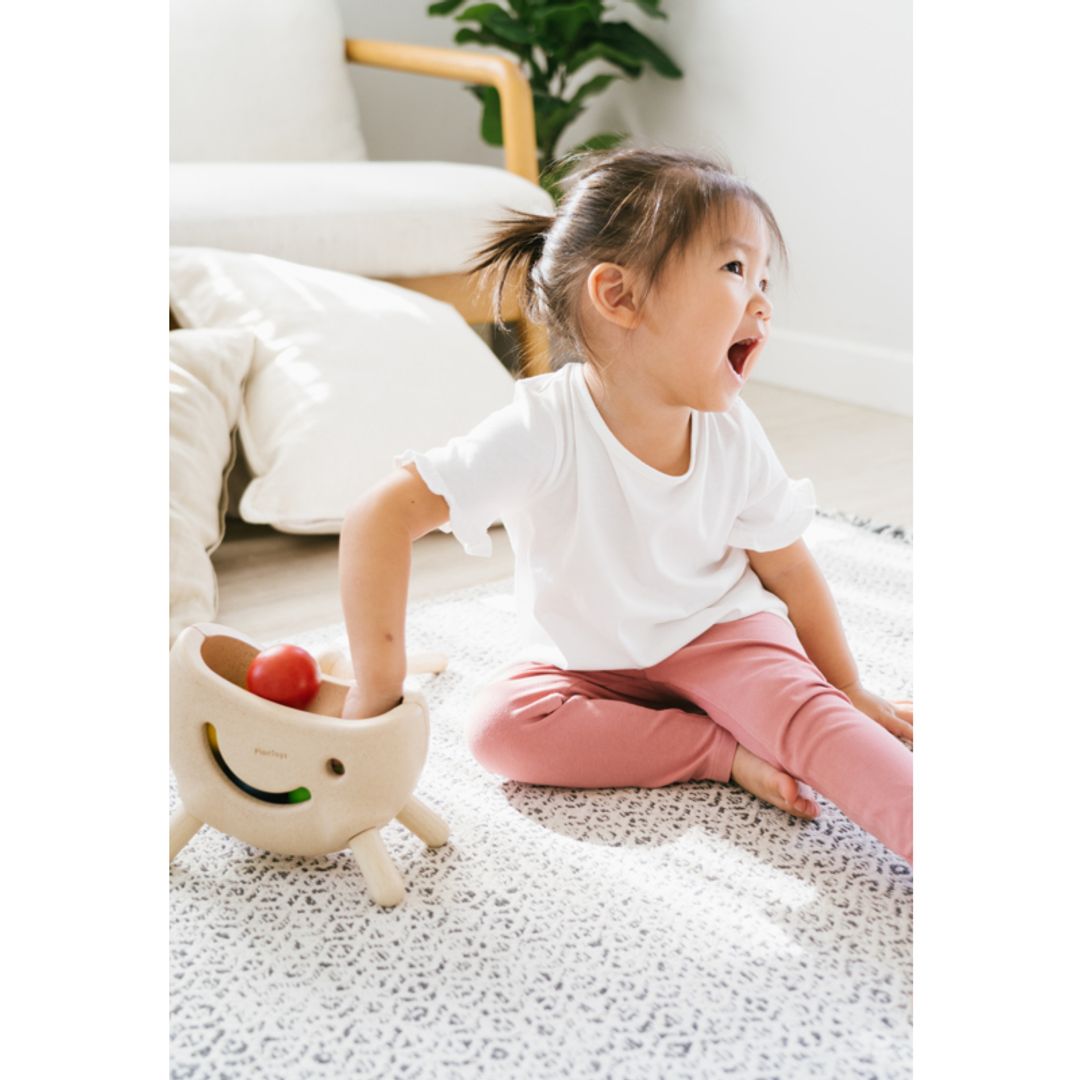 PlanToys Miracle Pounding II