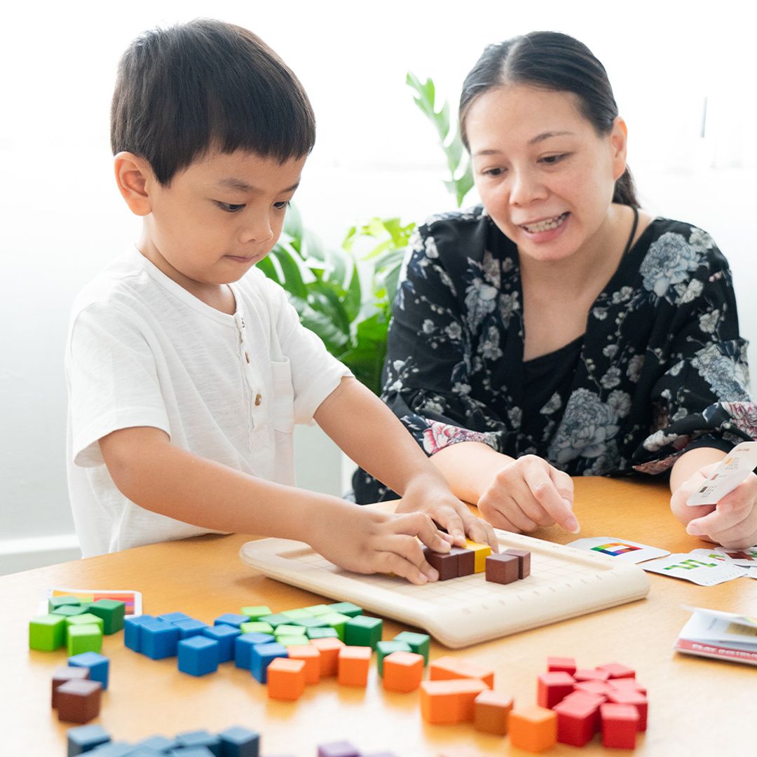 PlanToys 100 Counting Cubes - Unit Plus
