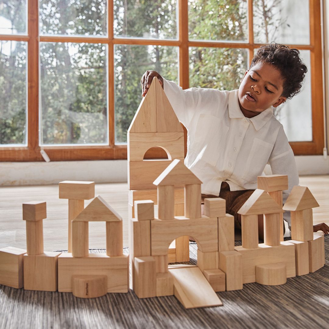 PlanToys 50 Unit Blocks