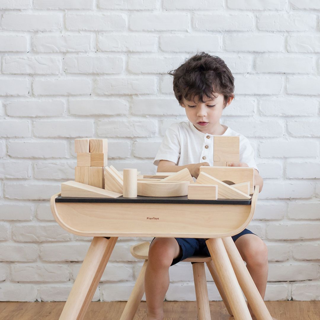 PlanToys 50 Unit Blocks