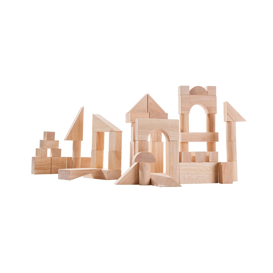 PlanToys 50 Unit Blocks