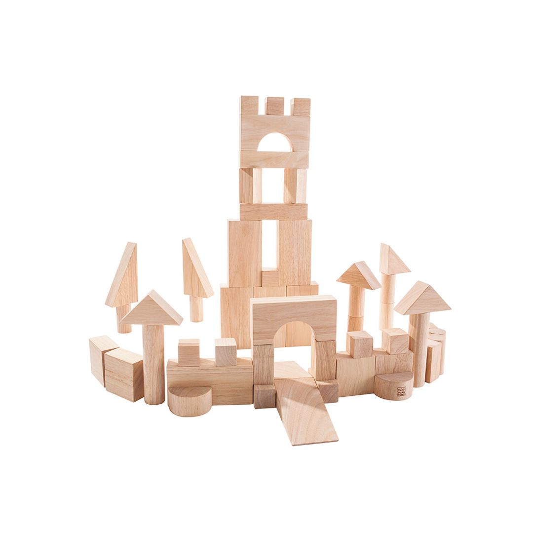PlanToys 50 Unit Blocks