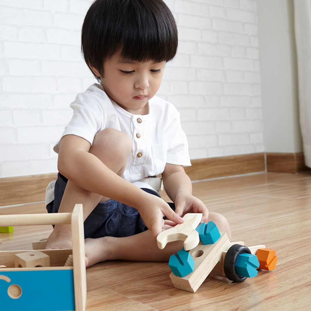 PlanToys Construction Set