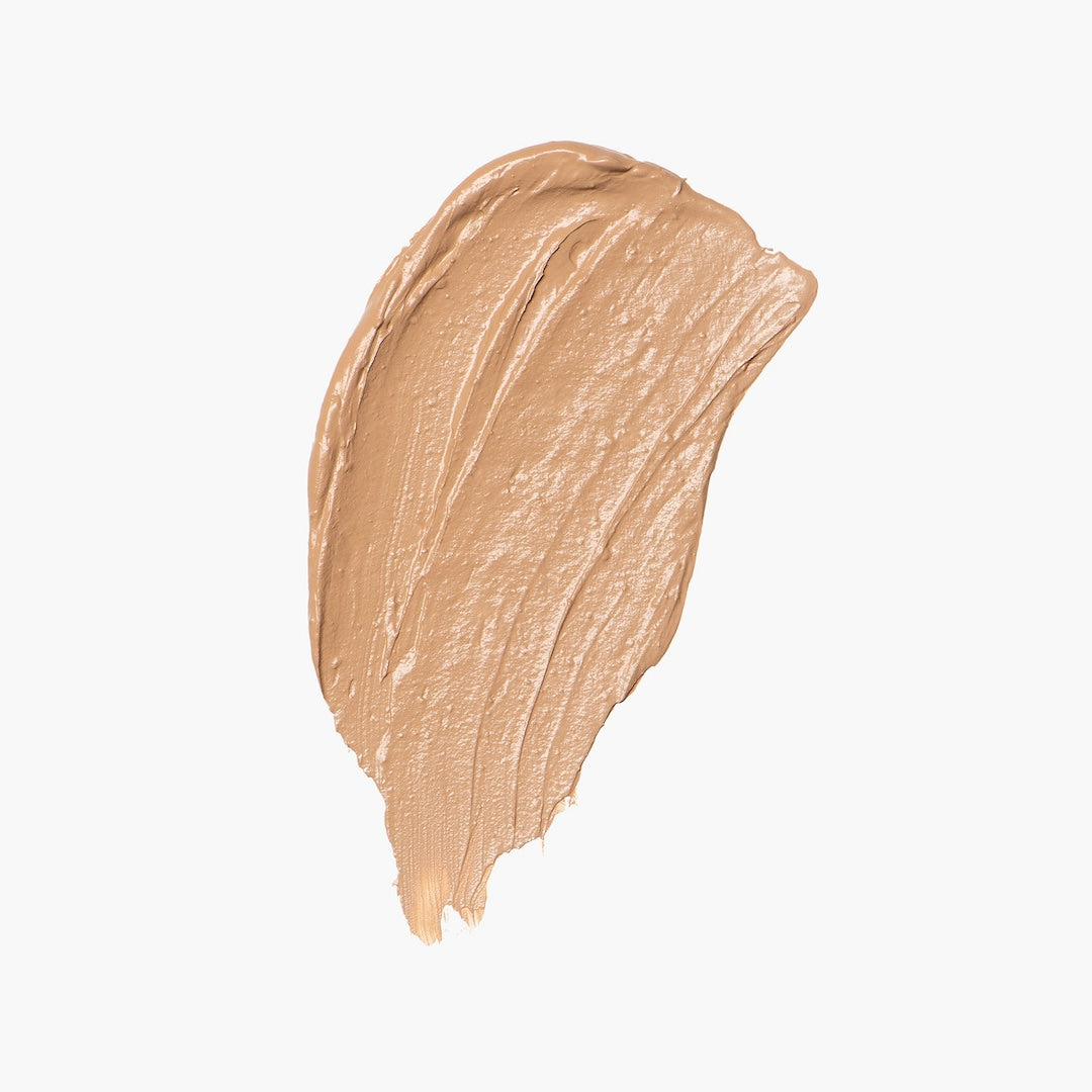 Axiology Fungdation - Mushroom Foundation
