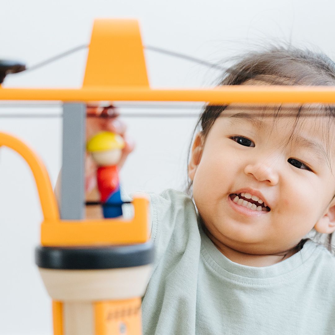 PlanToys Crane Set