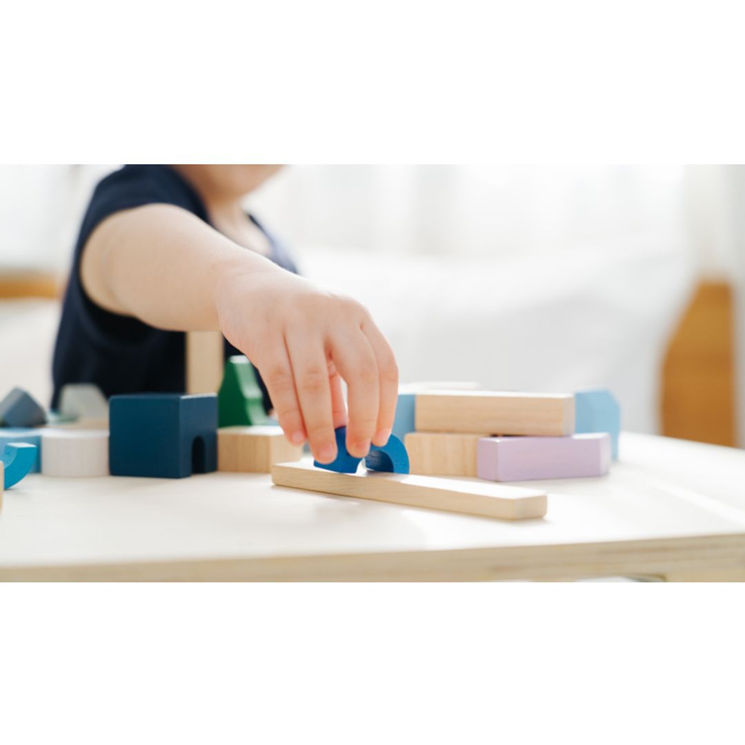 PlanToys USA Urban City Blocks